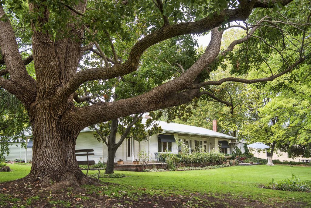 coomber guesthouse